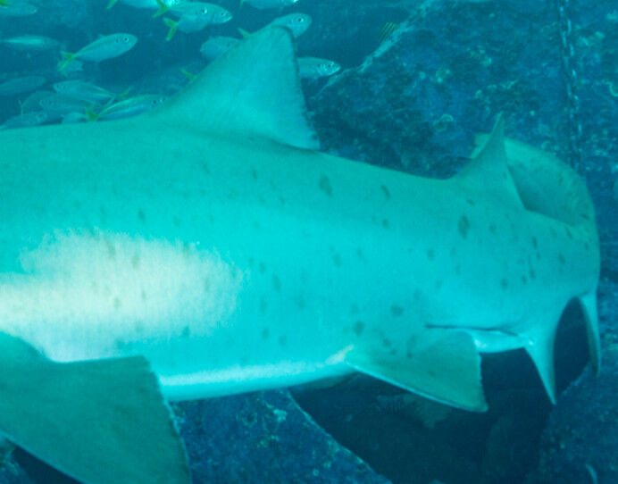 3e56c7ed-c568-40f6-81b6-f7a32513b989