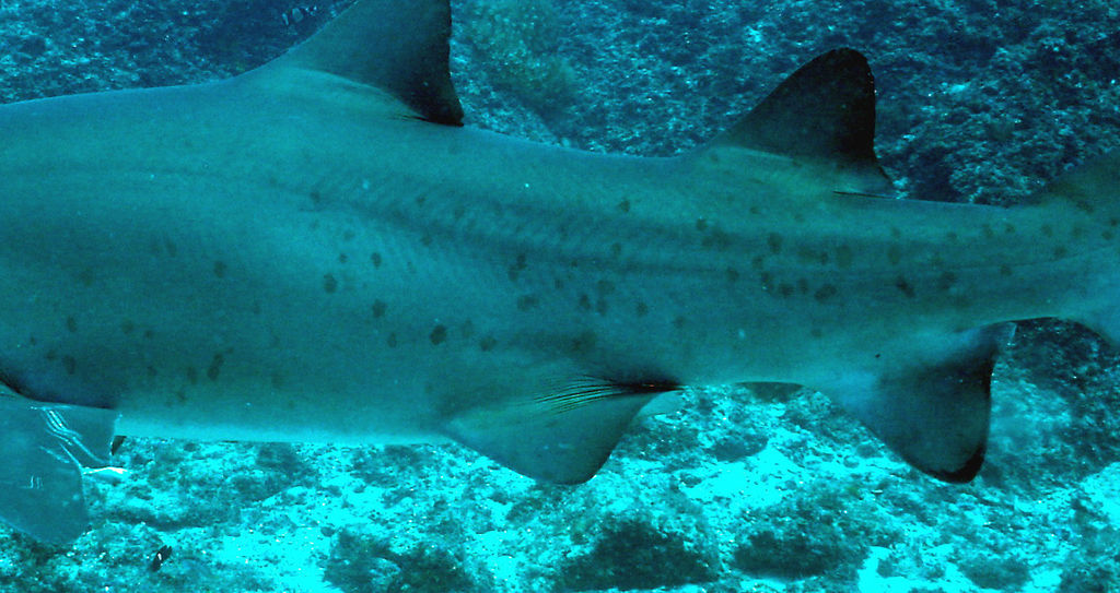 2f4e59f1-92eb-4233-8dbc-661c1b4c79db