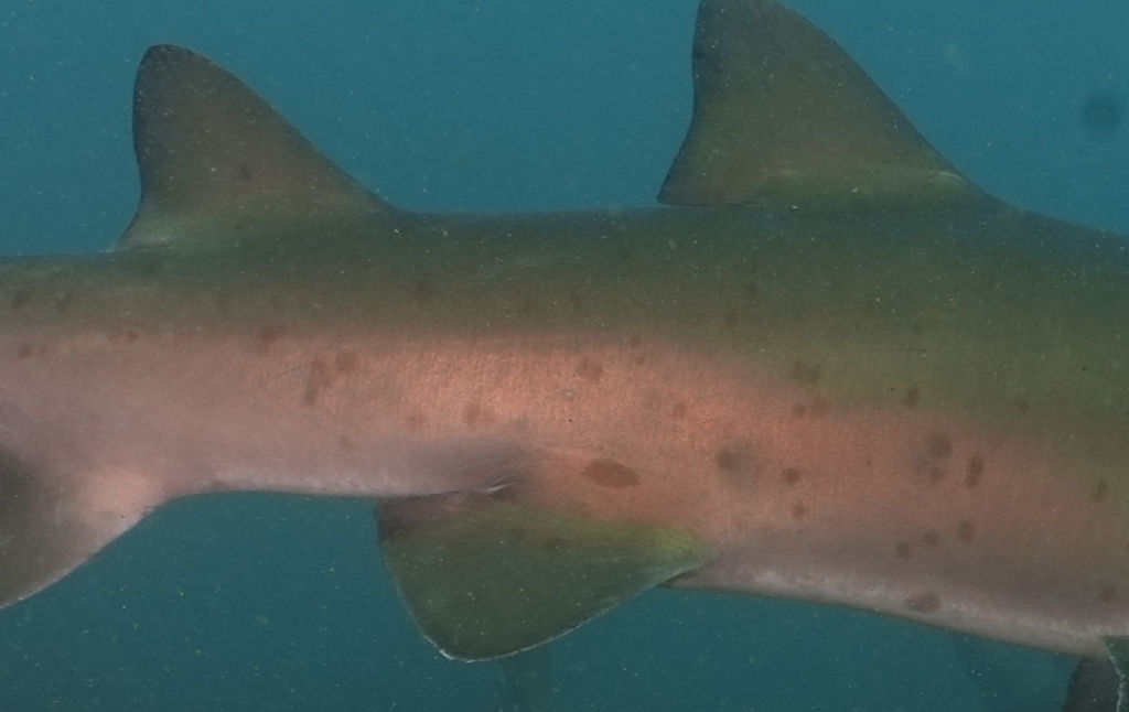 679d8bd7-4155-4381-aa4e-1cd80f7bfc52