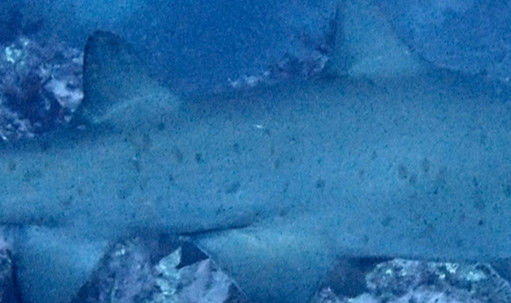 939f3c81-3342-4937-b010-e1b0a1b152ea