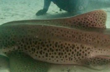 26f04bb5-901b-4fc6-8850-9eda9137a94b