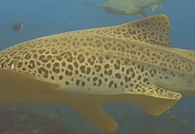 96d42ae0-070c-4441-9aa6-2c2a3b5422b9