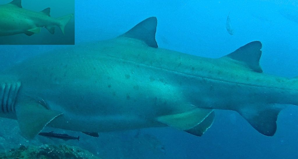 0af9197b-8ca9-48d9-9687-85b4bec92801