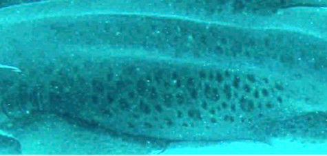 87e0145b-6655-4974-b286-52bb811c6610