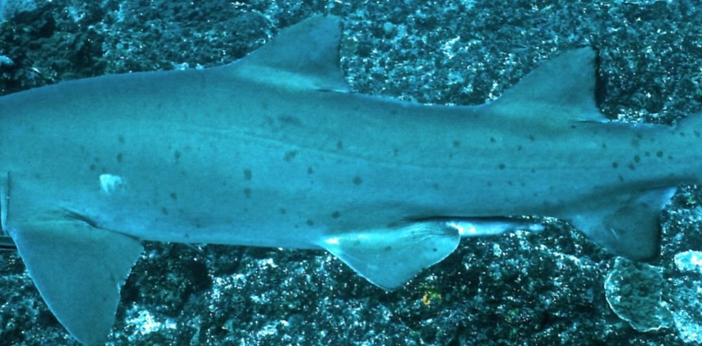 ec1ecce6-580a-48a9-80bb-fd6c40789e08