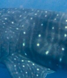 4604d6a6-232a-4fb5-adf3-cb17ad70f772