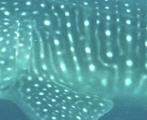 bd7d1690-5c47-4165-a4e8-04fee2a189b3