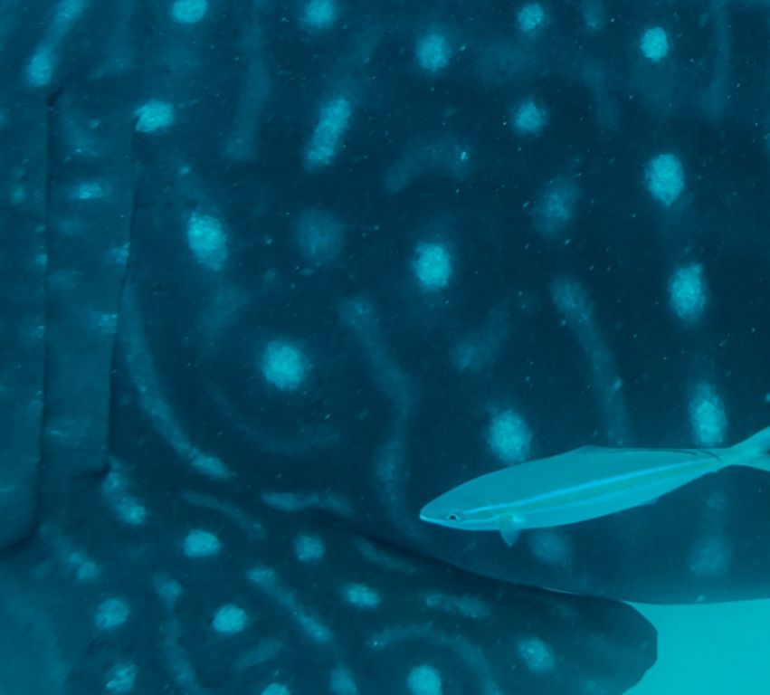 545c87e8-b3bf-4aed-b8d4-c98d1e69ad0d