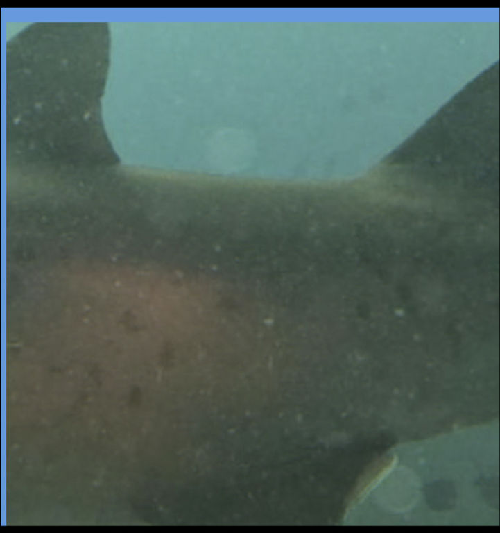 26493e76-125a-4edf-a14e-240648aa960f