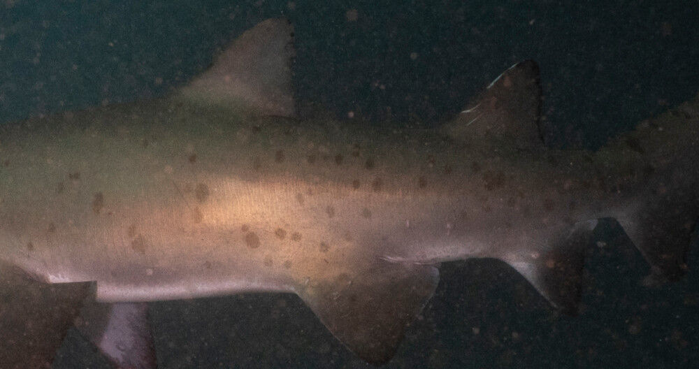 7eb45a5a-7440-4d3c-a7fe-8e6a25db21fb