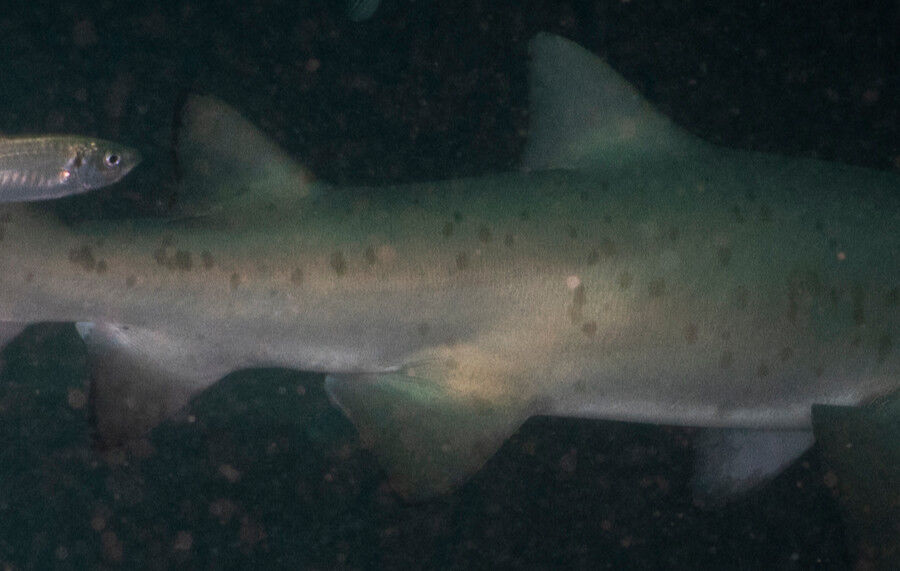 7eb45a5a-7440-4d3c-a7fe-8e6a25db21fb