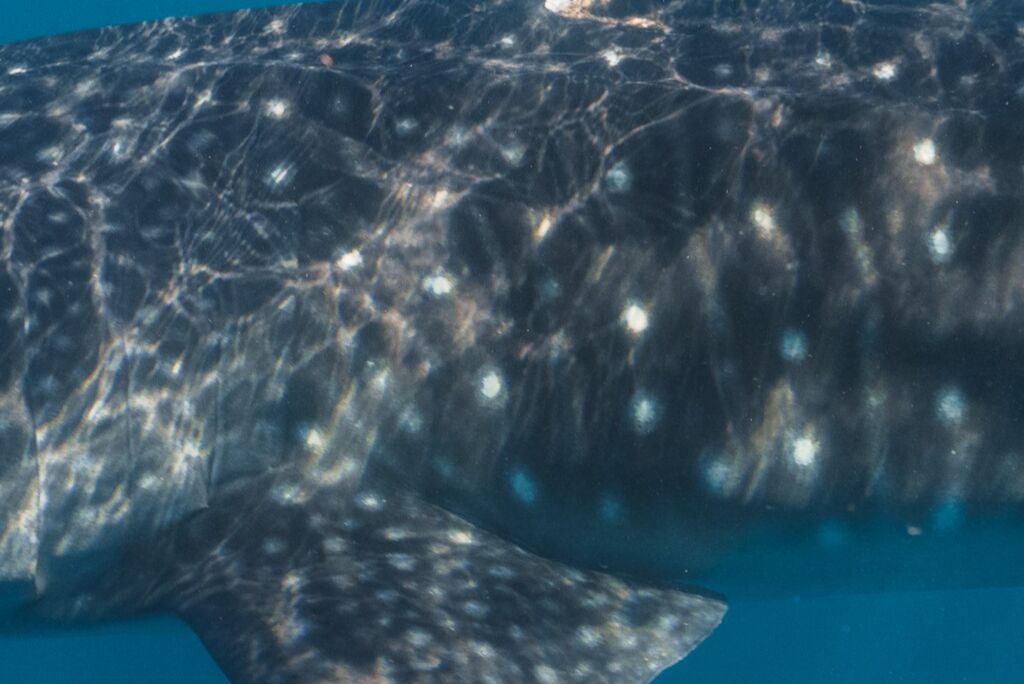 6ed92c59-7323-4bab-a7d3-4fe65a4c0c9d