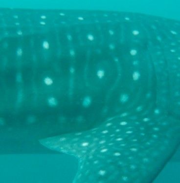 22f86a84-af08-4a59-9479-27e3ad89041a