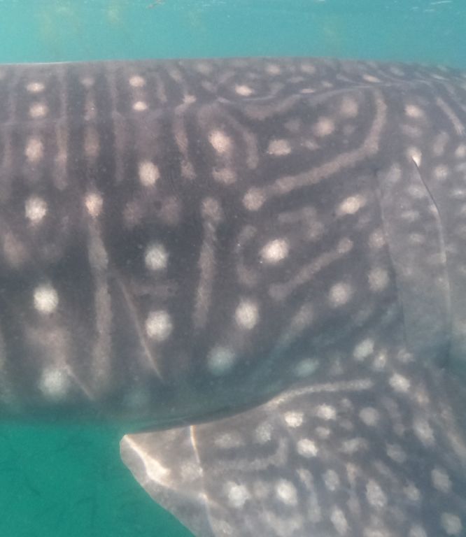 34c8cf45-478e-4c43-a448-b9b7ac3a9a6e