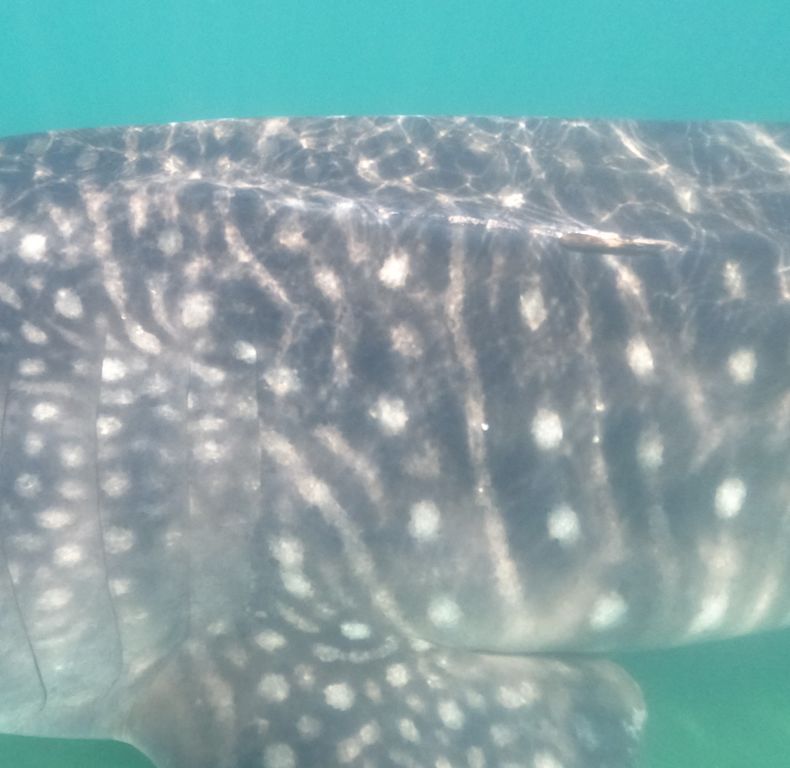 34c8cf45-478e-4c43-a448-b9b7ac3a9a6e