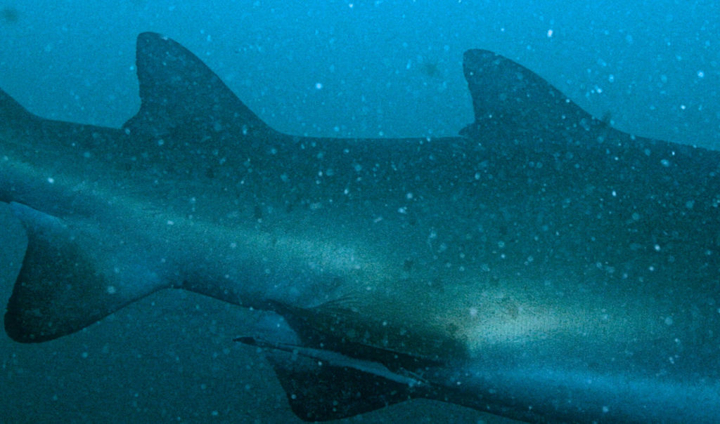 79aa622e-790e-444e-b294-8db9a0370830