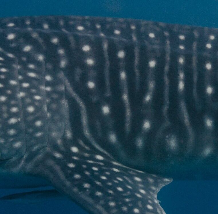 5d511330-5b7d-4765-b7c1-c56ef343376b