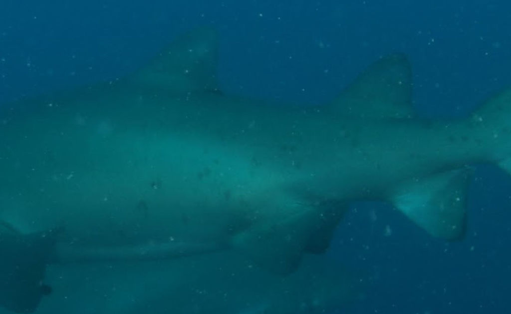 23f22487-4791-4dd0-8946-2062cd22846c