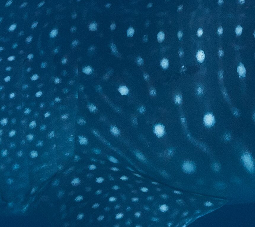 9f413c3a-bcb1-46ce-9c43-663987c78f98