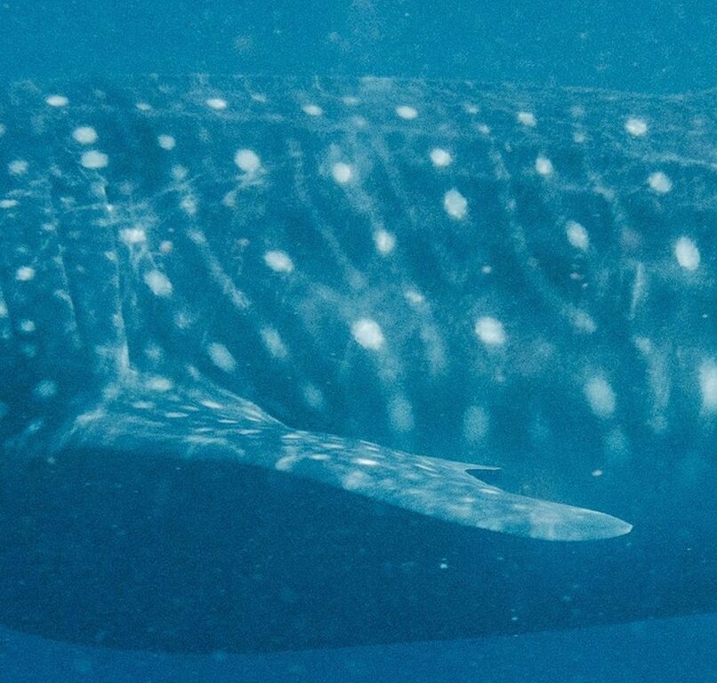 3fbf4f38-c667-49b5-8906-54fe9c740826