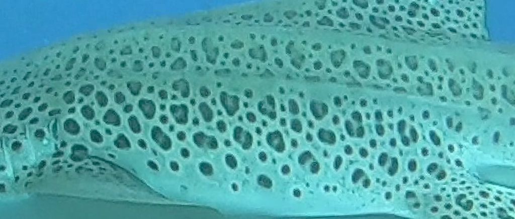 25ef7f97-55b6-4746-817e-0def0c0737d9