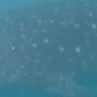 ad45ace8-0433-4c46-a2ba-78d0fde74623