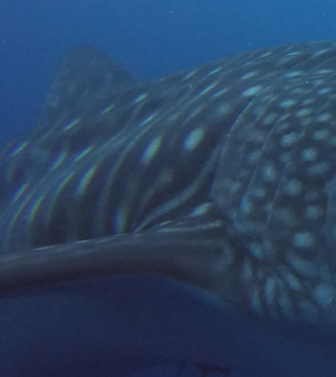 03e57f74-cd56-41db-bd57-d6cba568c9c0