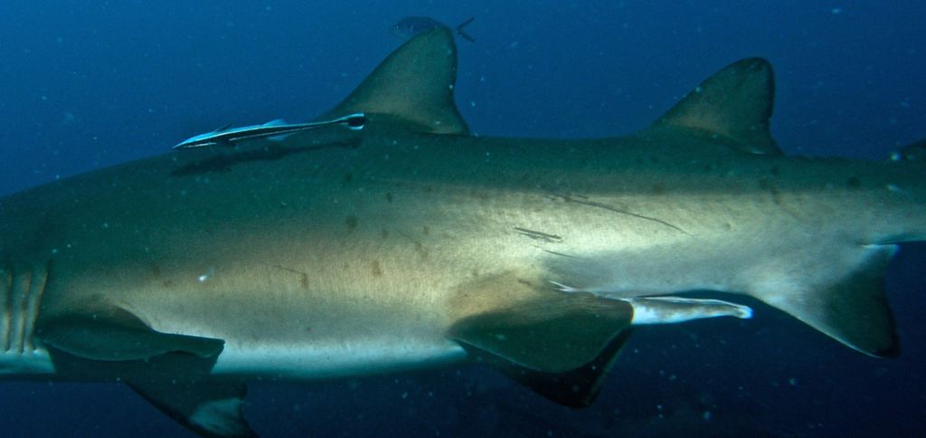 056c7a52-a38b-4f32-aa87-9751013096cc