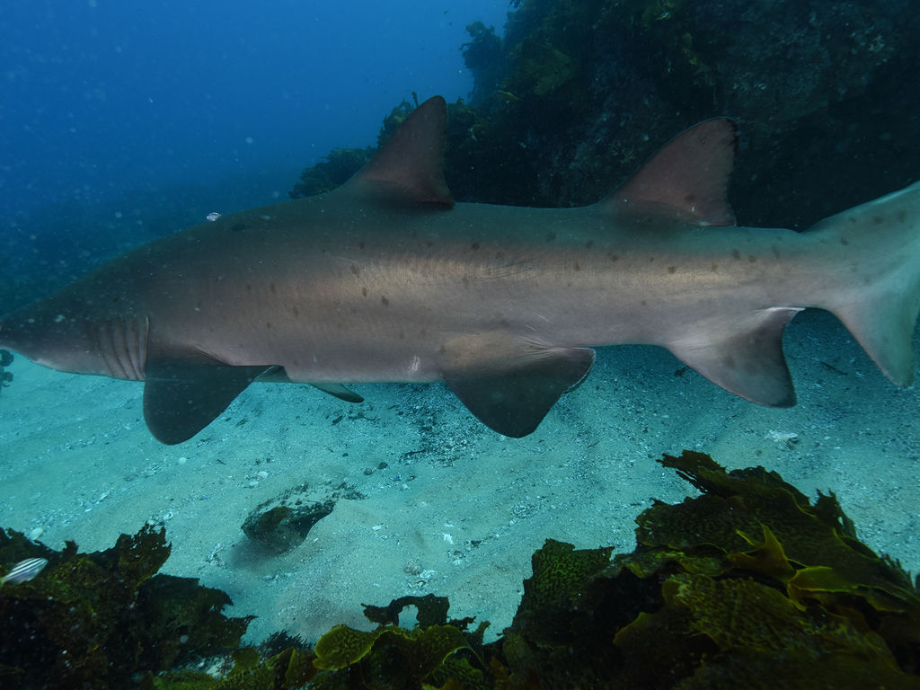 9b2ccdf9-c8f1-4e72-9213-64049b12f608