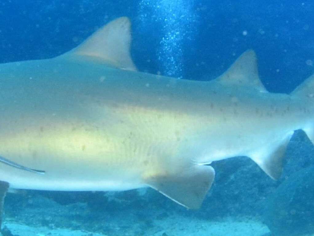 f4461bb0-2dbf-410d-a3f8-ff5dbe45c6b2