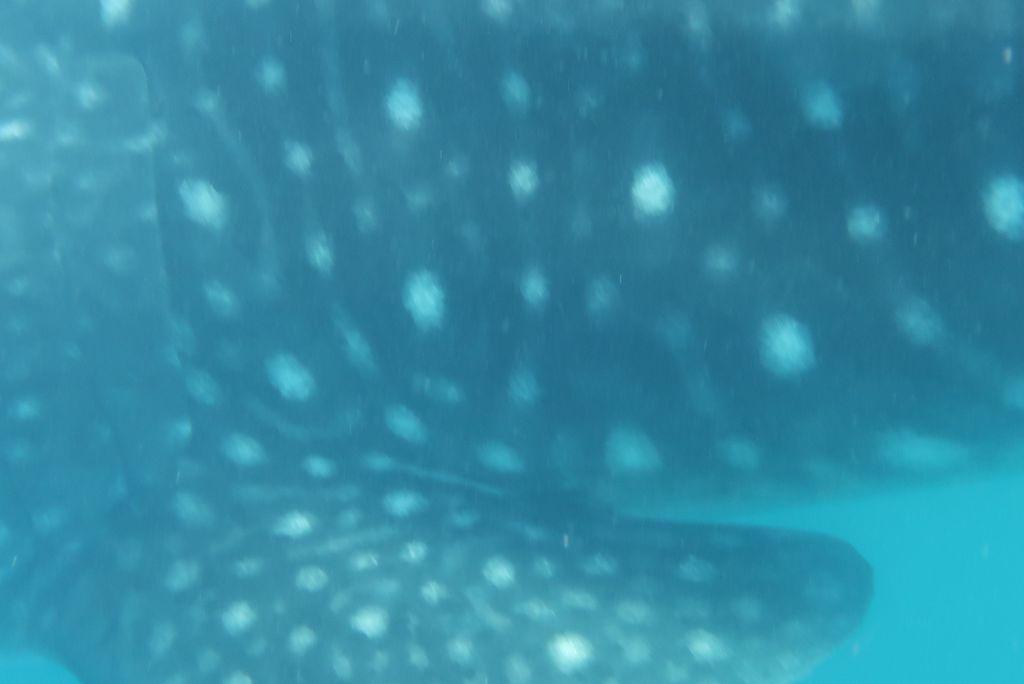 96aa67a3-1e22-44d5-af67-bd428e01e789