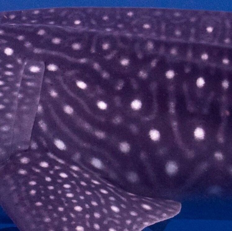 2c048854-5a78-47c2-943a-5cb7f77b4244