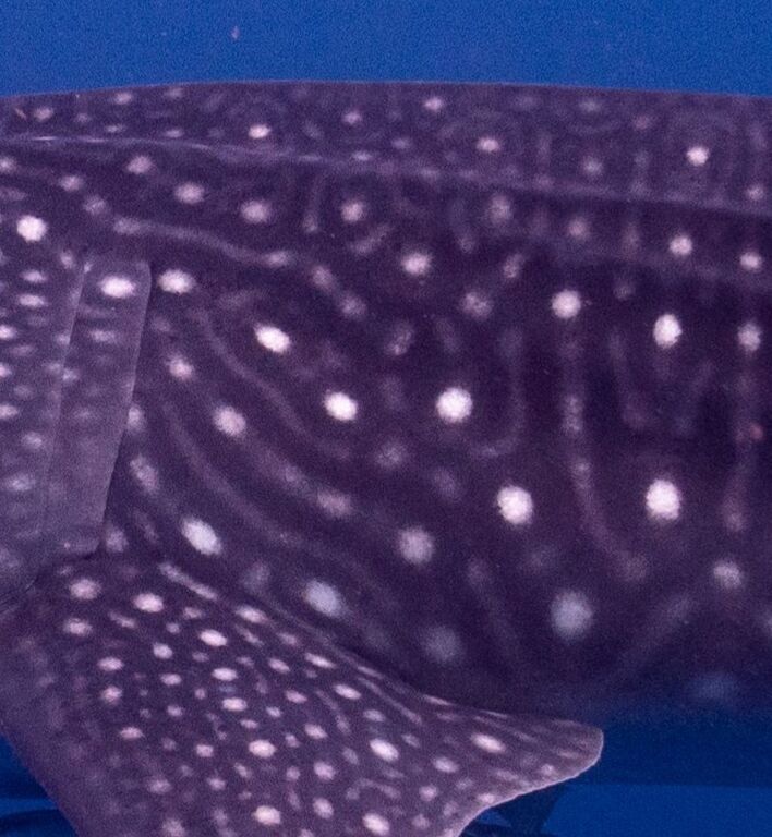 2c048854-5a78-47c2-943a-5cb7f77b4244