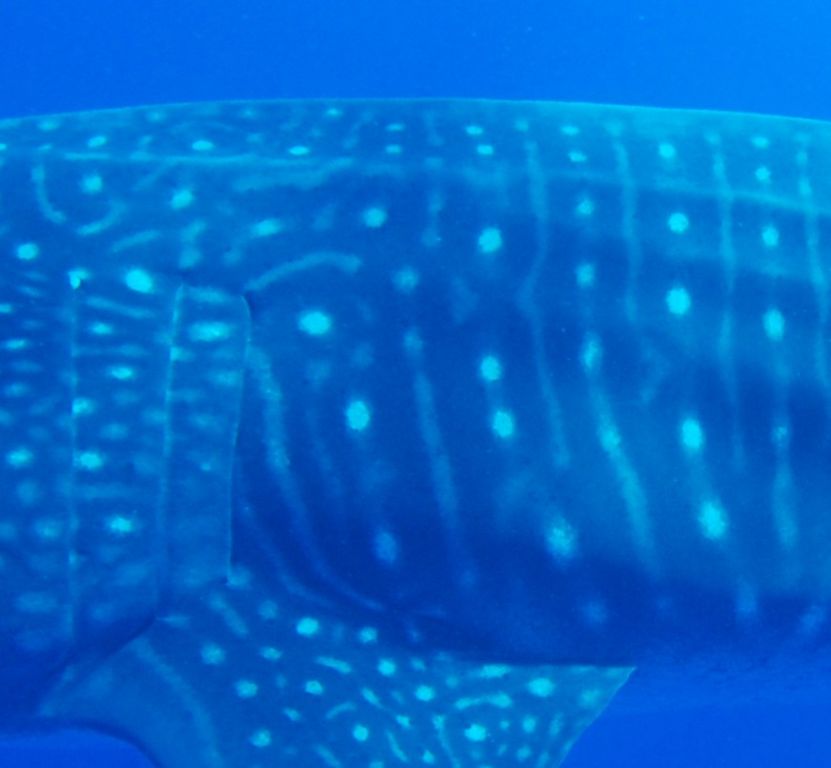 3910ce84-47e3-4d8a-a006-d7e1d21f9727