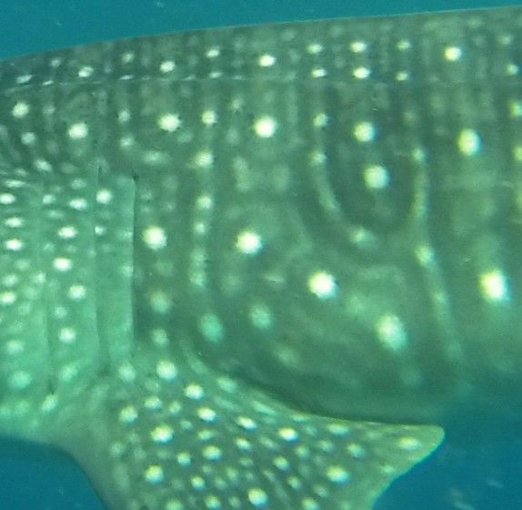 a51fe8d1-f4a6-406b-943c-7da437032611