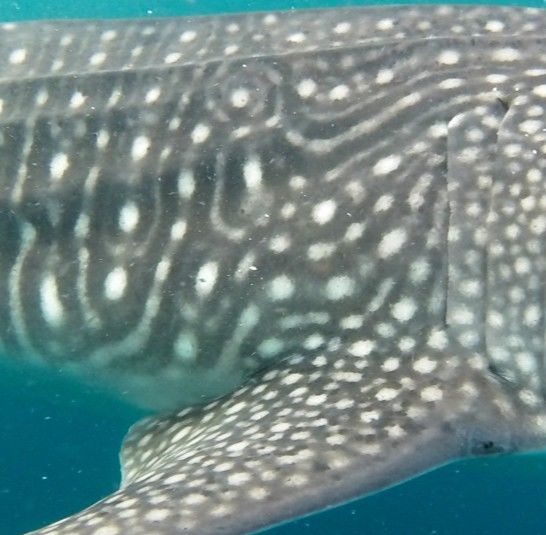 253defa4-6320-43d3-90b6-a1be95acc1f4