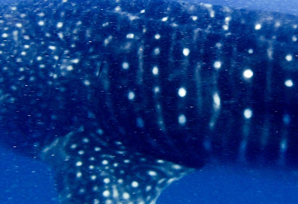 df6811af-7c07-489d-b318-7b9655222ddd