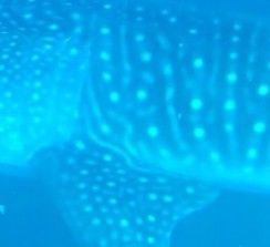 8cf1f9fd-a14f-4877-892d-0e36e17c9f68