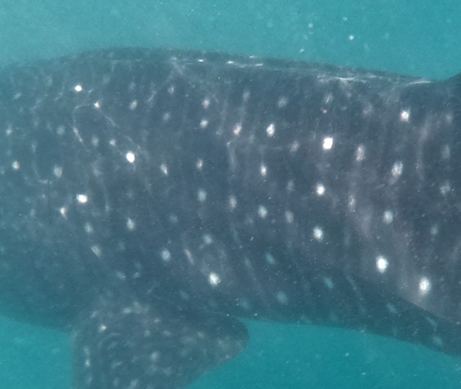 4a0a259e-20e7-4090-b93f-a45b99d8d239