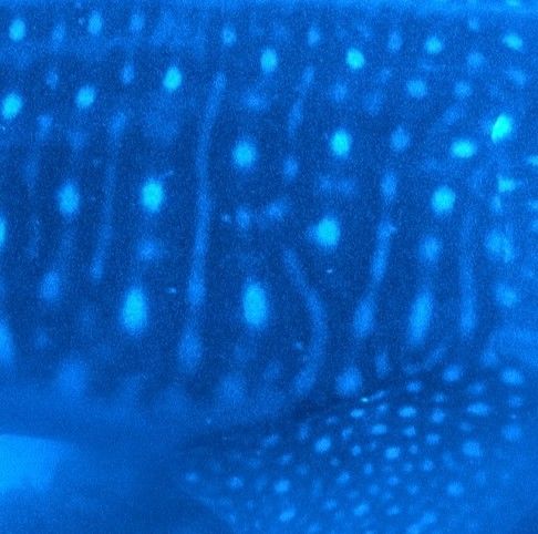 2bf574d6-daaf-40a1-b26a-c7969ec20ccc