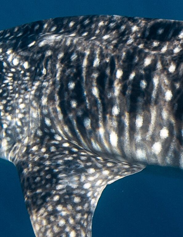 f77d6df5-3290-4926-a2c6-58d42ddb7c14