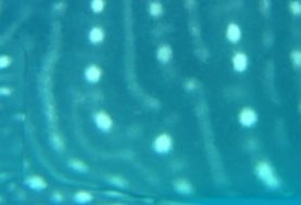 948a8410-b466-45cd-a20b-7ddb6aabf779