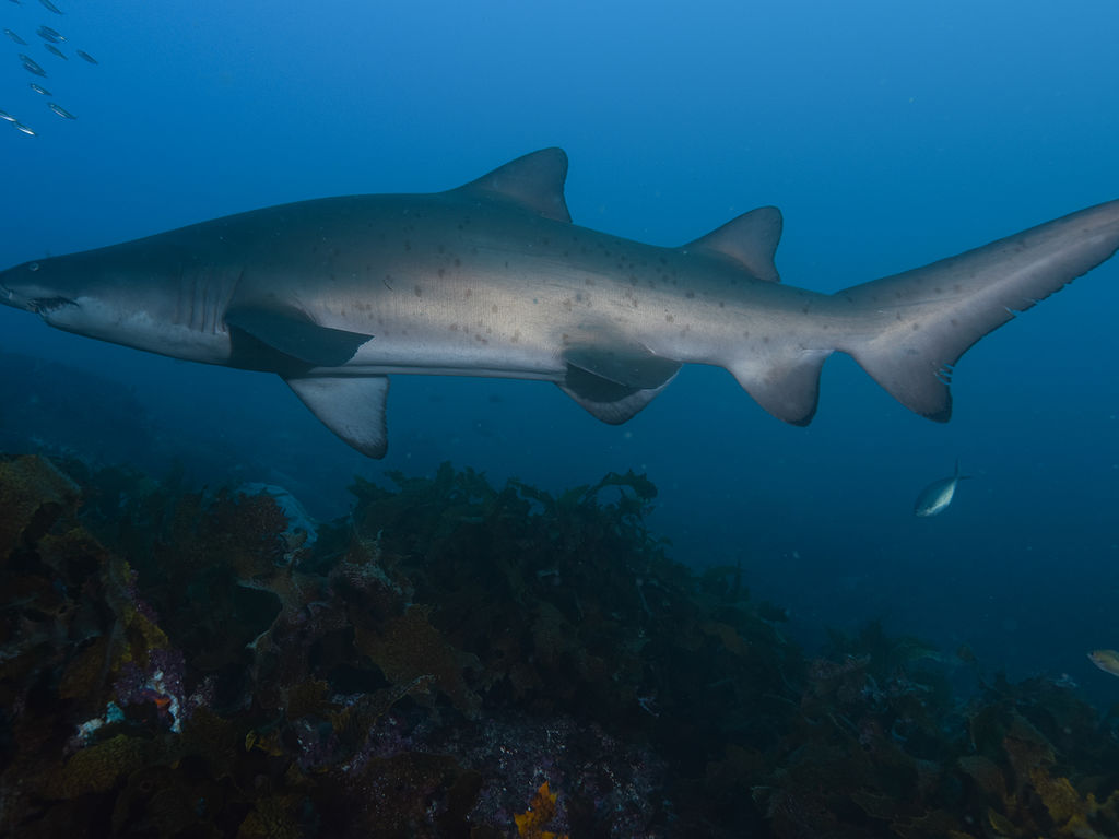 105642f2-2477-41dd-ad4c-fba165722d57