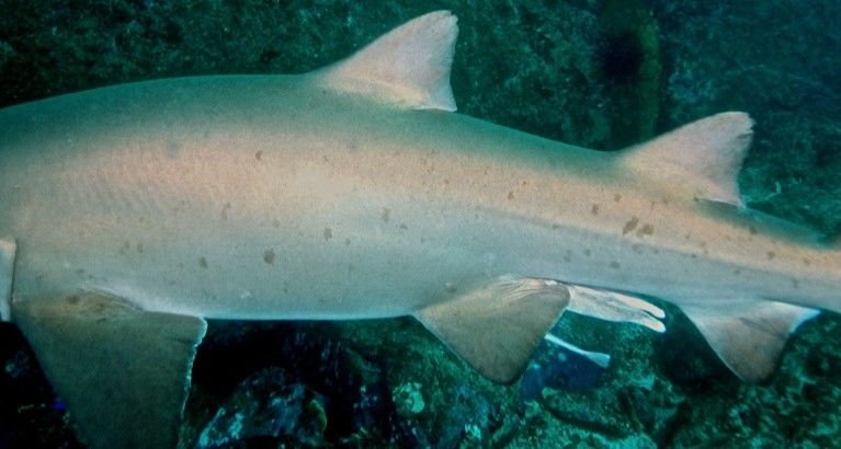 3c9e6d75-430f-49a0-9b68-fdbd7fbf04ac