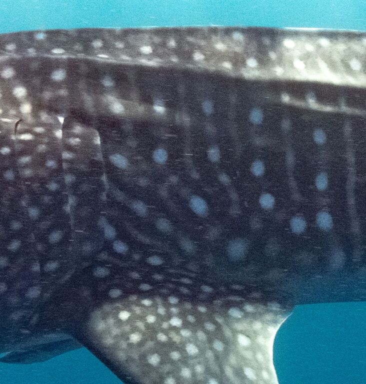 57fec227-b47d-4233-88bd-9dbbedbb31b8