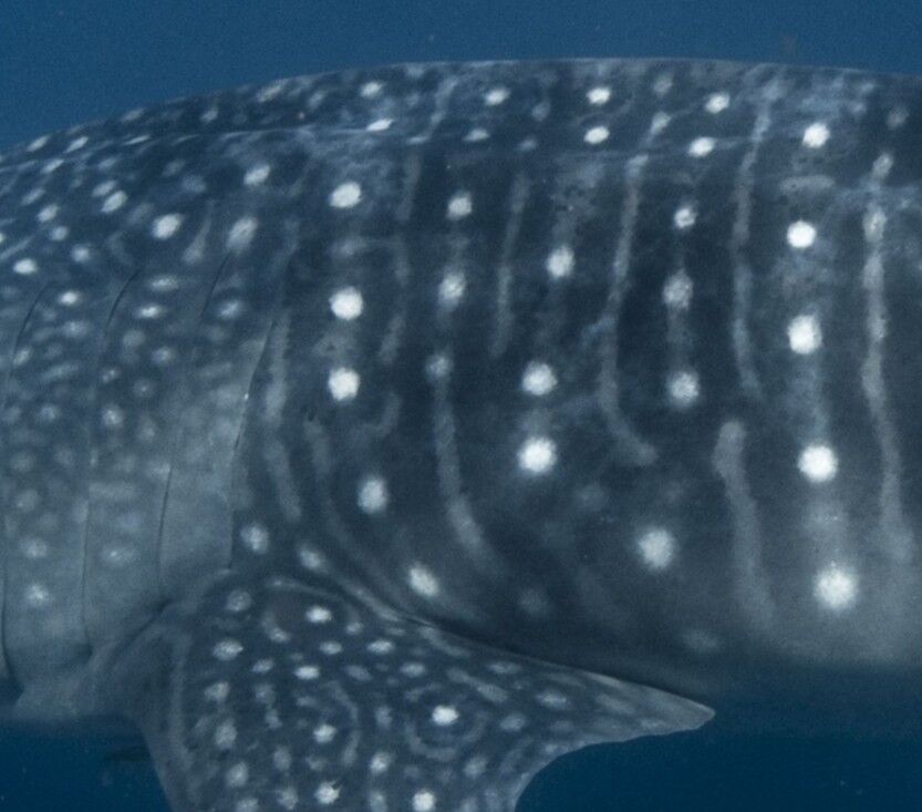 e508b570-aa76-44ad-8805-20635b7c39ad