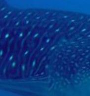 8aa6c0a1-7c07-4954-a92e-44a4cb3039d9