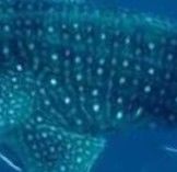 8aa6c0a1-7c07-4954-a92e-44a4cb3039d9