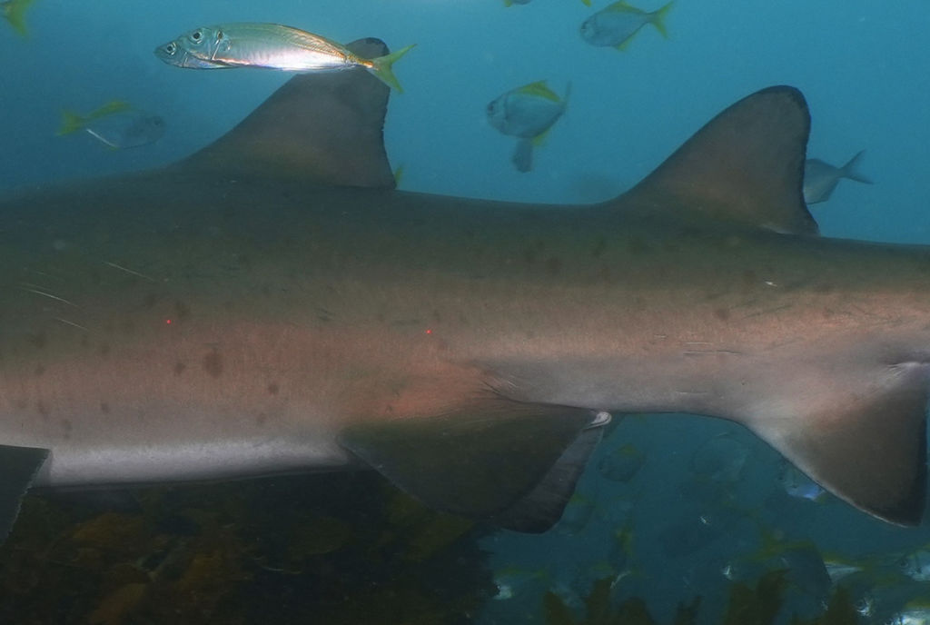 d70d8610-d18f-4019-a555-ffc0a204f972