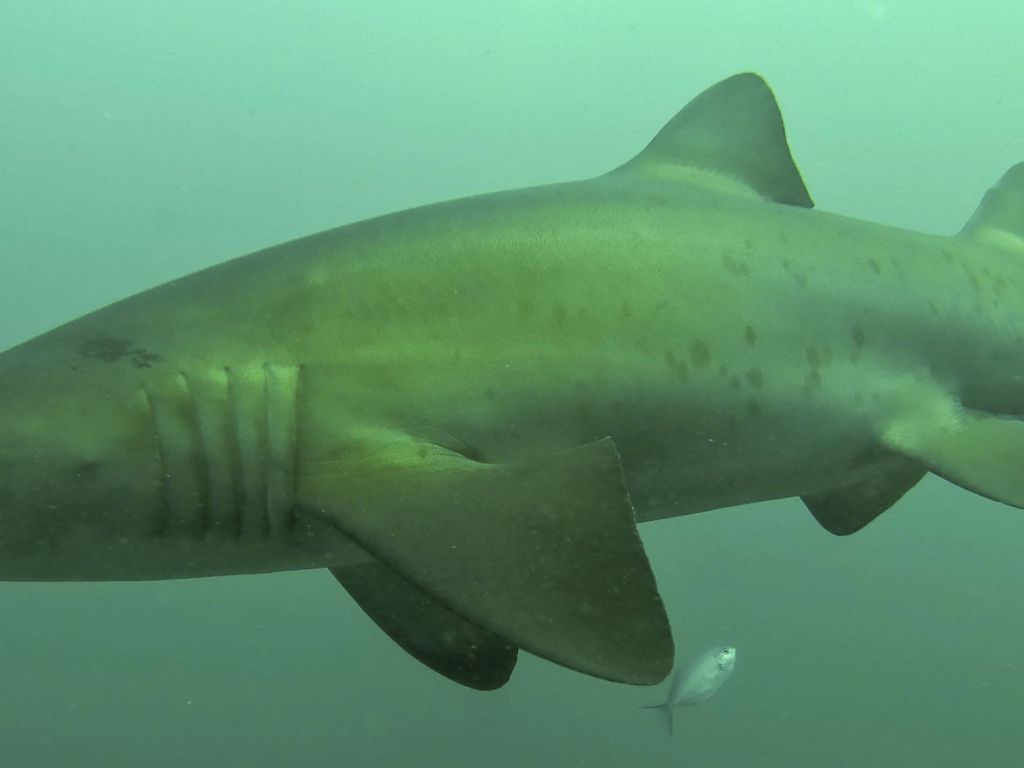 a7a22f37-5079-43c6-afbb-35325b012001